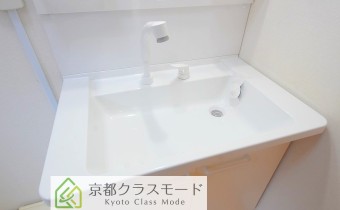 シャンプードレッサー