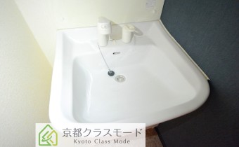 シャンプードレッサー