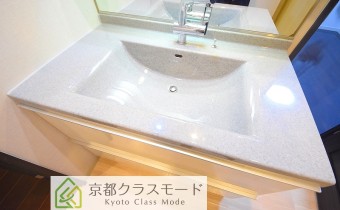 シャンプードレッサー