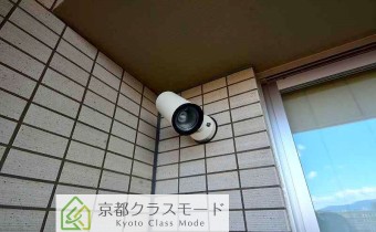 照明