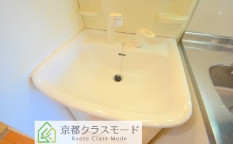 シャンプードレッサー