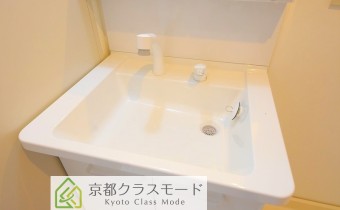 シャンプードレッサー