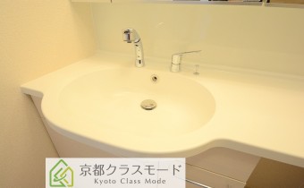シャンプードレッサー