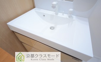 シャンプードレッサー