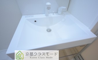シャンプードレッサー
