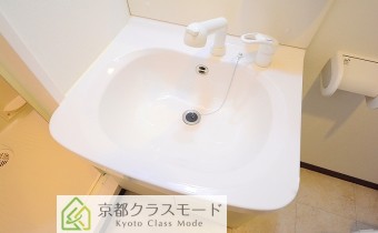 シャンプードレッサー
