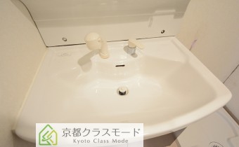 シャンプードレッサー