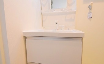 シャンプードレッサー