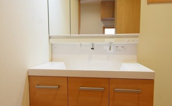 シャンプードレッサー