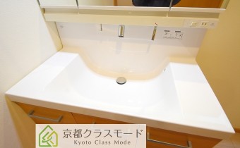 シャンプードレッサー