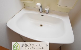 シャンプードレッサー
