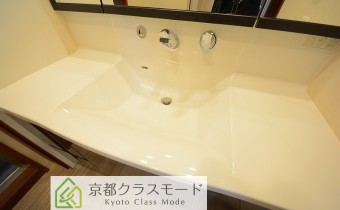 シャンプードレッサー