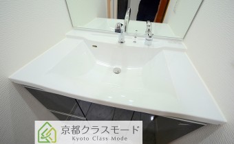シャンプードレッサー