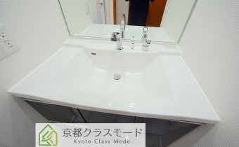 シャンプードレッサー
