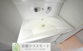 シャンプードレッサー