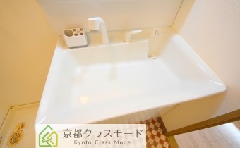 シャンプードレッサー