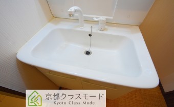 シャンプードレッサー