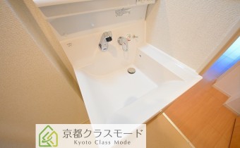 シャンプードレッサー