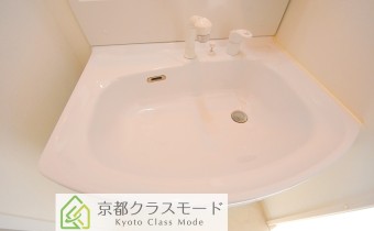 シャンプードレッサー