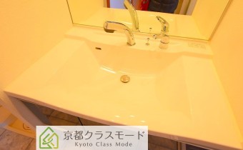 シャンプードレッサー