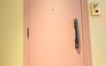 玄関ドア　※室内写真は同マンション内の101号室のものです。