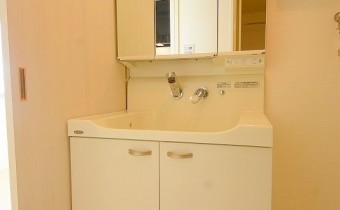 シャンプードレッサー