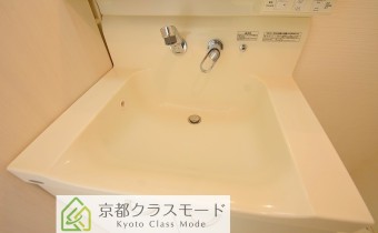 シャンプードレッサー