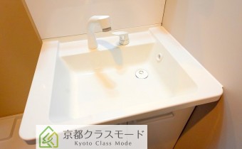 シャンプードレッサー