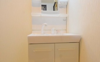 シャンプードレッサー