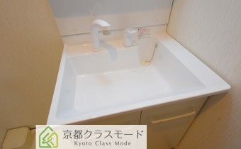 シャンプードレッサー