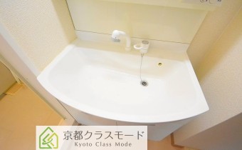 シャンプードレッサー