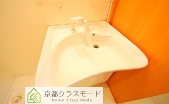 シャンプードレッサー