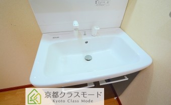 シャンプードレッサー