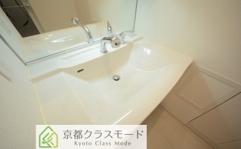 シャンプードレッサー