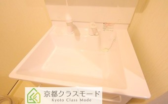 シャンプードレッサー