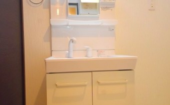 シャンプードレッサー