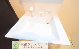 シャンプードレッサー