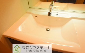 シャンプードレッサー