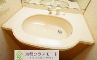 シャンプードレッサー
