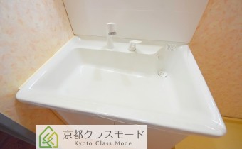 シャンプードレッサー