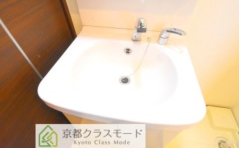 シャンプードレッサー