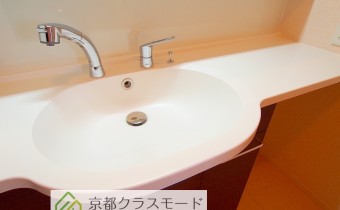 シャンプードレッサー