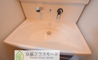 シャンプードレッサー