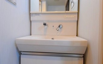 シャンプードレッサー