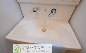 シャンプードレッサー