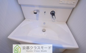 シャンプードレッサー