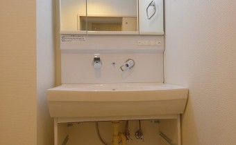 シャンプードレッサー
