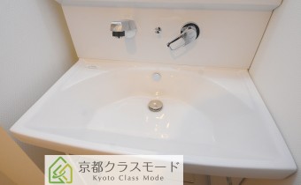シャンプードレッサー