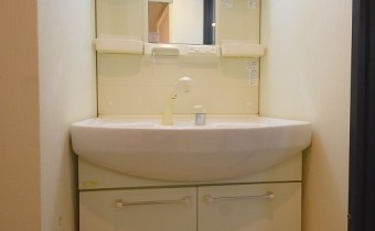 シャンプードレッサー