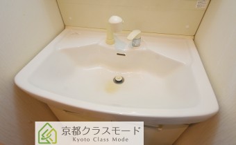 シャンプードレッサー